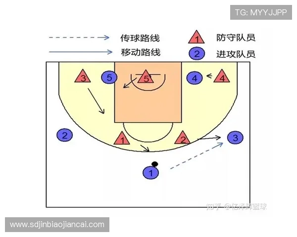 武汉排球队阵地战打法深度分析与战术解读