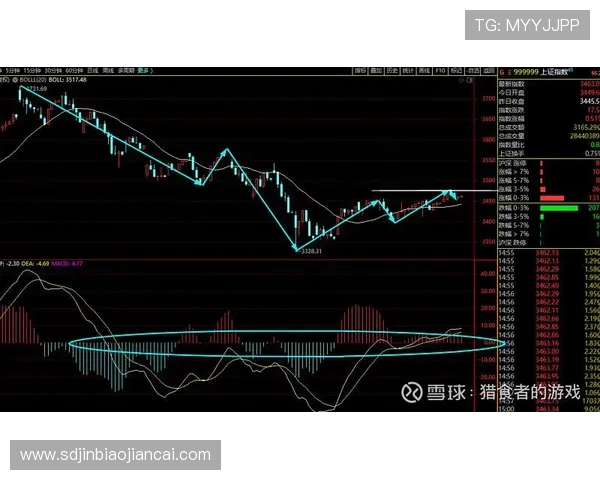 重庆乒乓球队与北京乒乓球队赛后复盘分析比赛节奏与战术对比