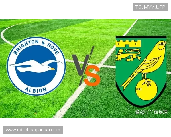 普雷斯顿与诺维奇对决前瞻分析及赛果预测详解 普雷斯顿与诺维奇对决前瞻分析及赛果预测详解