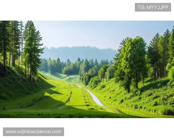 绿色森林与斯文登的生态对比与文化碰撞探讨