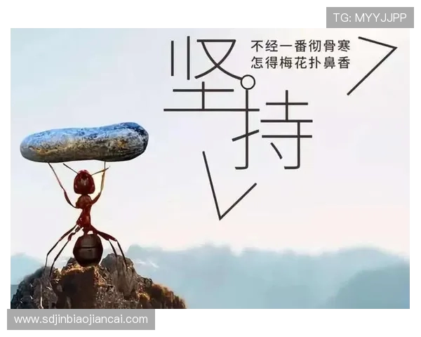 贾诚：在时代浪潮中追寻梦想与坚持的力量