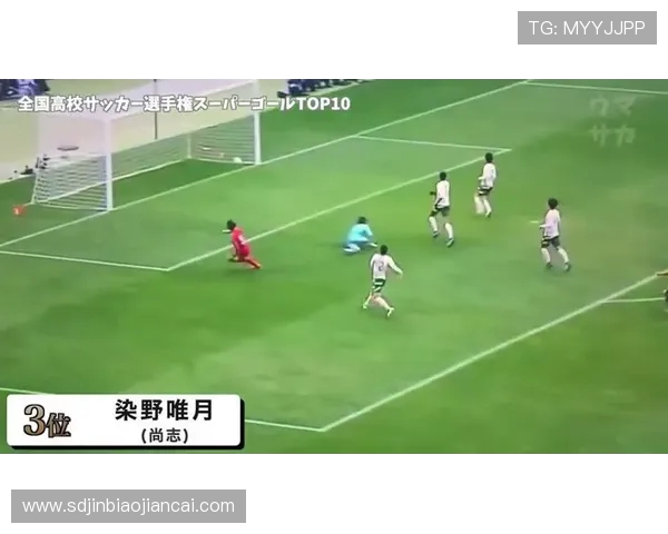 网球新手必看团队协作技巧与实用策略全面指南 网球新手必看团队协作技巧与实用策略全面指南