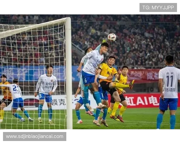 成都足球队团队协作变革引发热议助力球队新征程