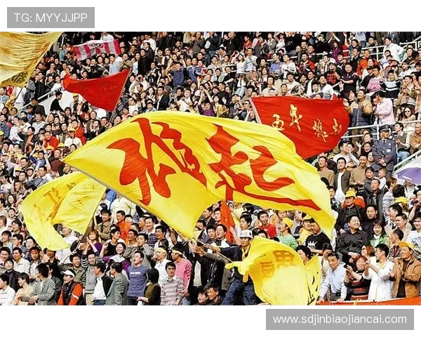 深圳足球队实力强劲荣登全国足球力量排行榜第六名